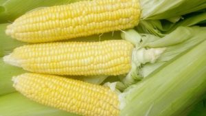 sweet corn